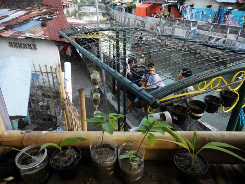 Working with young people in Kalicode to make vertical and edible gardens in an urban area near the river- Rita Dharani 20