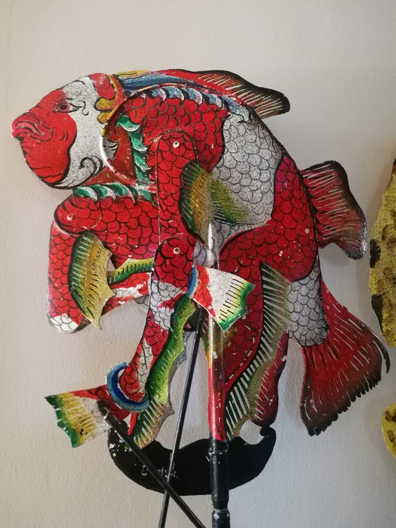 ‘Nemo’, an ocellaris clownfish from the CTC Wayang Samudra collection, Sanur / Author